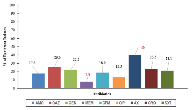Antibiotic resistance (%) among Proteus strains isolated in Sudan: amoxiclav (AMC), ceftazidime (CAZ), gentamicin (GN), meropenem (MEM), cefotaxime (CFM), ciprofloxacin (CIP), amoxicillin (AX), ceftriaxone (CRO) and cotrimoxazole (SXT).