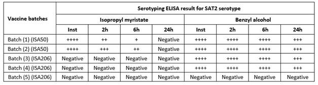 Identification of the extracted FMDV type SAT2 antigens using FMDV serotyping ELISA.