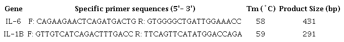 Primer sequences, annealing temperatures, and amplicon size for amplification of IL-6 and IL-1β.