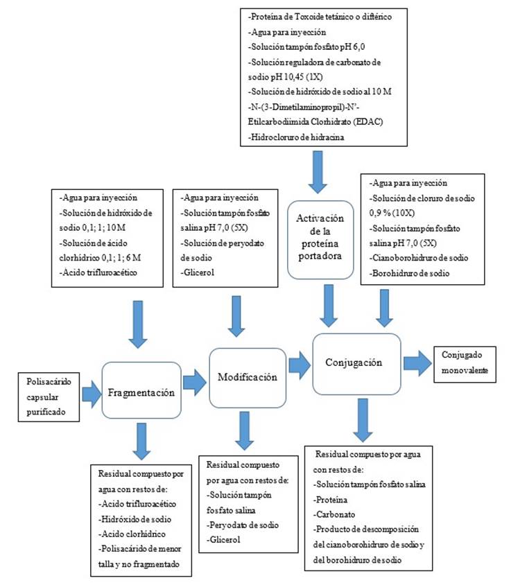 Entradas y salidas de cada etapa del proceso de obtención de conjugados monovalentes.
