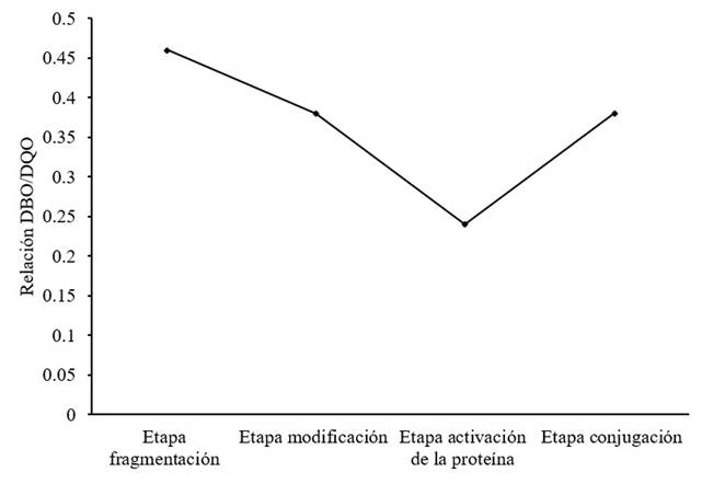 Comportamiento de los resultados de la Relación DBO5/DQO en las diferentes etapas del proceso.