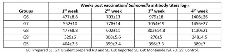 Humoral immune responses against Salmonella Enteritidis in chickens using ELISA test to determine Salmonella antibody titers.