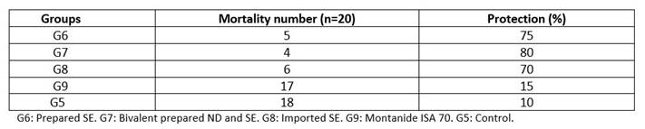 Protection rates of vaccinated chickens after challenge with Salmonella Enteritidis virulent strain.