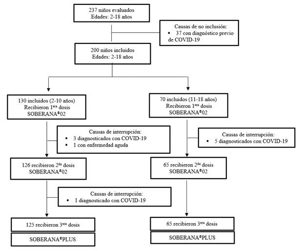 Diagrama del estudio.