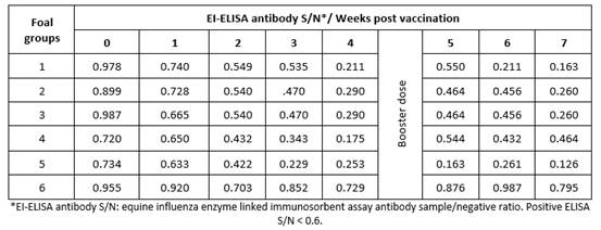 Sample/Negative ratios of vaccinated foals&rsquo; sera tested by equine influenza ELISA.