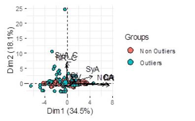 Outliers detected by all algorithms