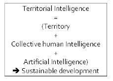 Definition of territorial intelligence