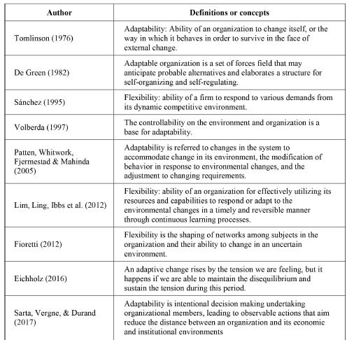 Nature of adaptability and flexibility. Definitions and concepts