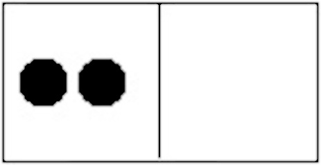 Figura tomada de French (2019). Identity and individuality in quantum theory. Stanford Encyclopedia of Philosophy.