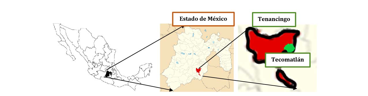 Mapa de San Miguel Tecomatl&aacute;n