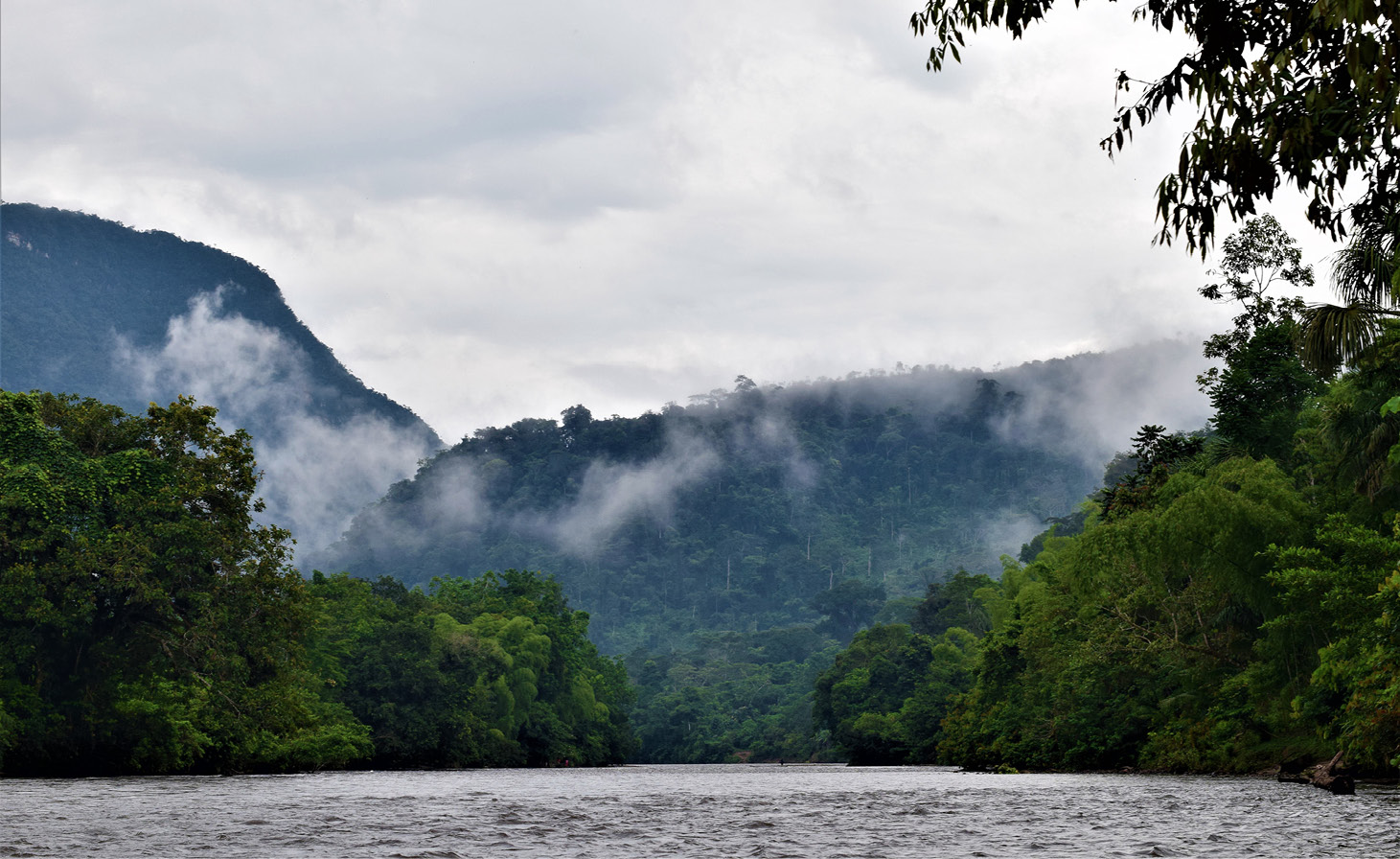 Quebrada Numpatkaim, Entsa Numpatkaim, h&aacute;bitat del tayu