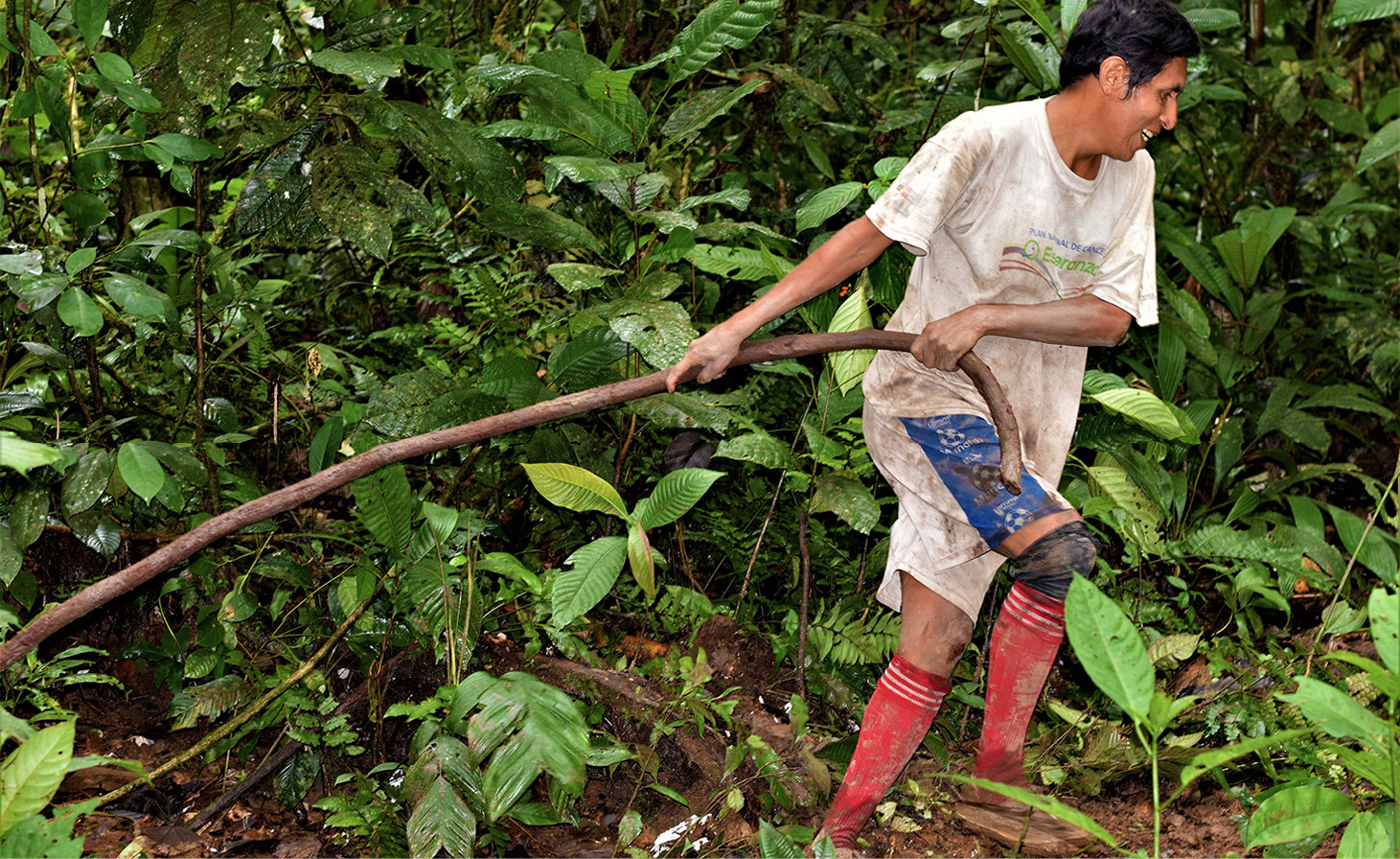 Mi&eacute;rcoles, recolecci&oacute;n de daek