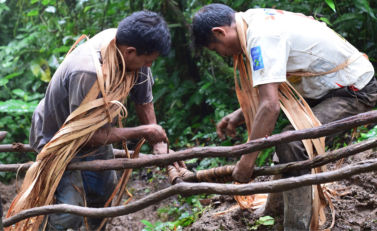Jueves, uni&oacute;n de lianas daek