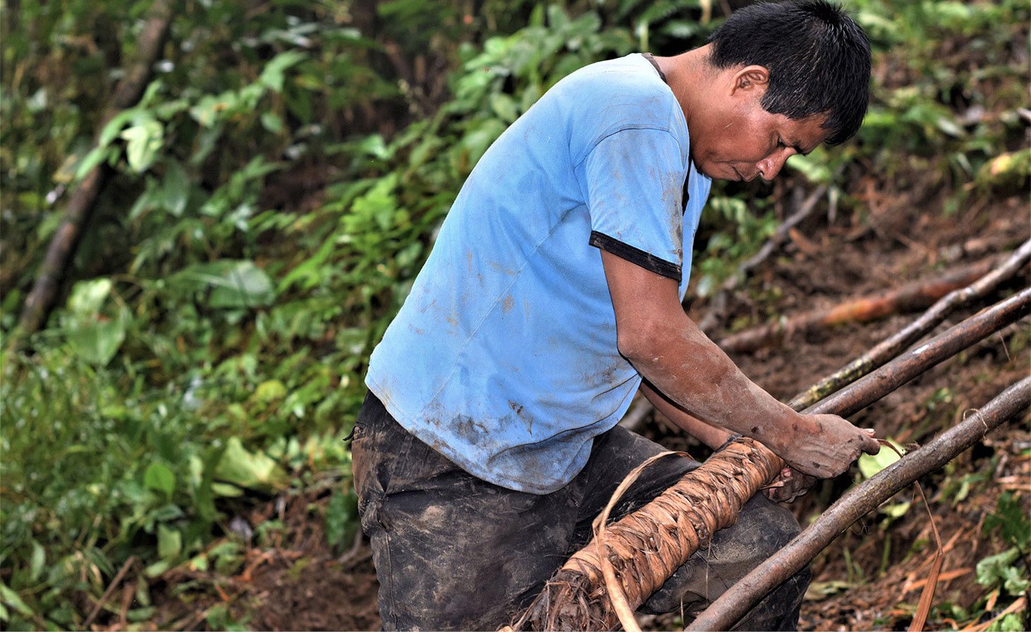 Jueves, tejido de lianas daek