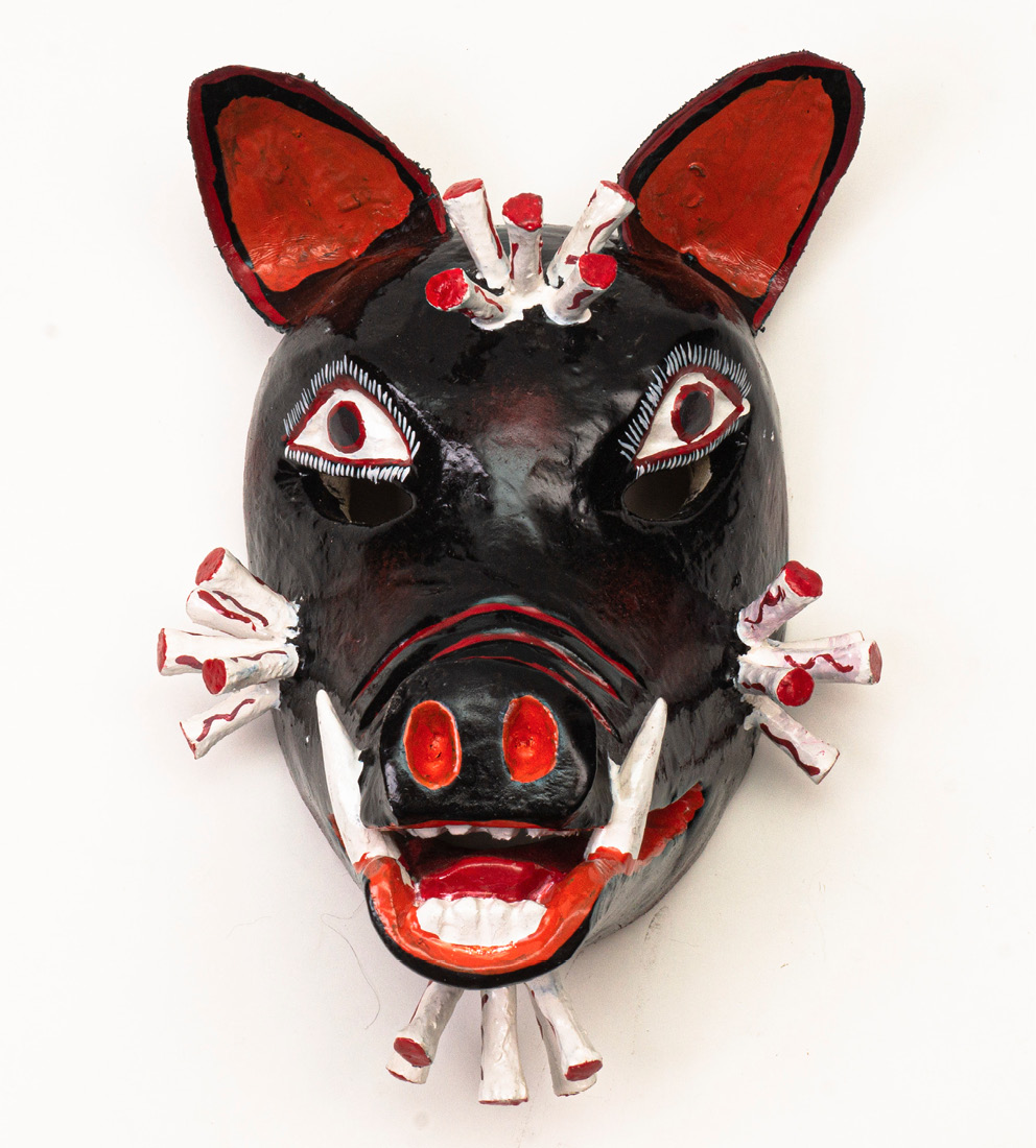 Cerdo covid guerrero