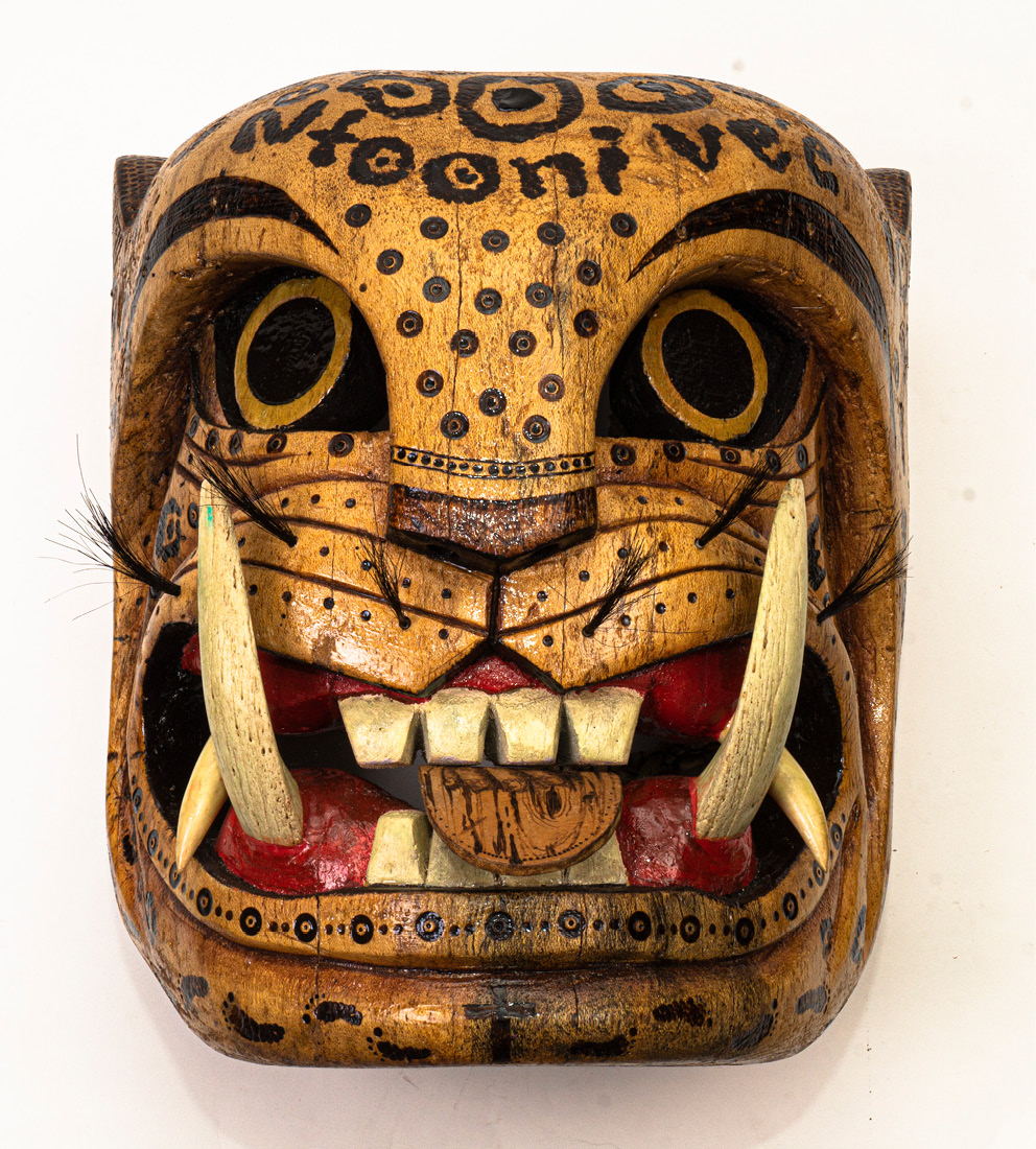 M&aacute;scara jaguar covid mixteca