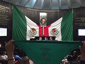 Llega la marea verde a la XV Legislatura