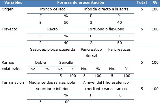 Comportamiento de la arteria espl&eacute;nica en cuanto a origen, trayecto, ramas colaterales y terminaci&oacute;n en el hombre adulto