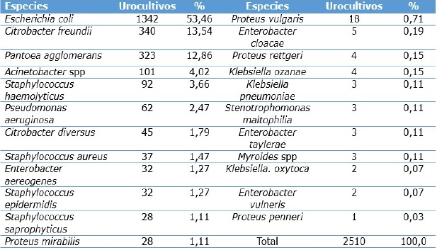 Porcentaje de los urocultivos seg&uacute;n especies bacterianas causantes de ITU