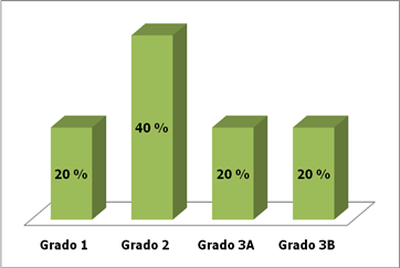 Distribuci&oacute;n de fracturas abiertas seg&uacute;n Gustilo RB y Anderson JT (n=5).
