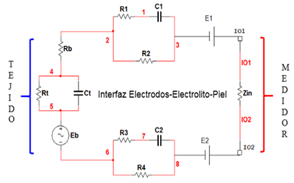 Representaci&oacute;n del modelo el&eacute;ctrico de la interfaz electrodo-electrolito-piel (Zin: impedancia de entrada, E1 y E2: potenciales de media celda, C1 y C2: capacidades de la frontera de la interfaz, R1 y R3: resistencia debido a la migraci&oacute;n de iones en la interfaz, R2 y R4: representa el efecto del contacto &oacute;hmico entre la piel y el electrodo, Eb: generador biol&oacute;gico, Ct: capacidad del tejido, Rt: resistencia del tejido, Rb: resistencia de salida del generador biol&oacute;gico).