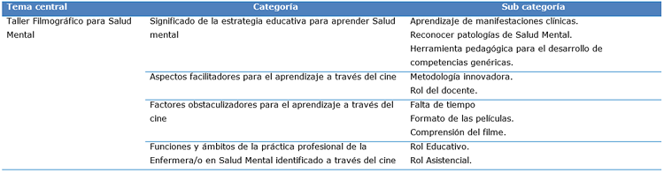 Síntesis de la representación del Taller Filmográfico, sus categorías y subcategorías indagadas según la percepción de los informantes