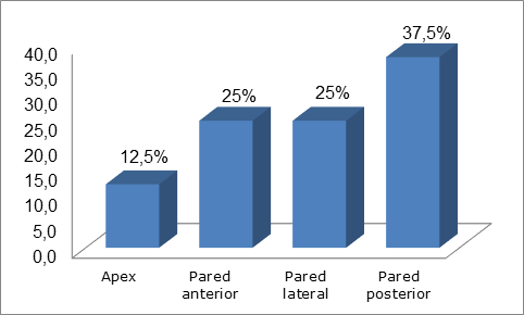 Distribuci&oacute;n seg&uacute;n localizaci&oacute;n anat&oacute;mica de la rotura de la pared mioc&aacute;rdica.
