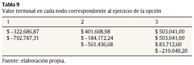 Valor terminal en cada nodo correspondiente al ejercicio de la opci&oacute;n