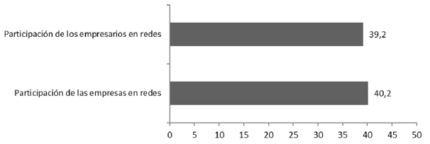 Participaci&oacute;n de la empresa y de los empresarios en redes, en 2015 (datos en porcentajes).