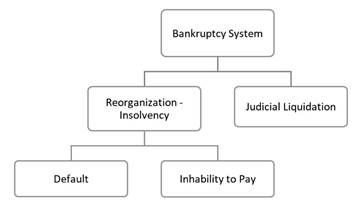 Bankruptcy system in Colombia