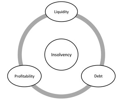 Ratio categories to predict bankruptcy