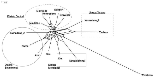 Neighbornet com os dados agregados de todas as l&iacute;nguas e variedades
