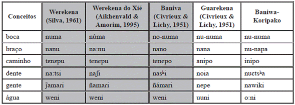 Lista de palavras comparando Werekena, Werekena do Xi&eacute;, Baniva-de-Maroa e Guarekena e Baniwa-Koripako8