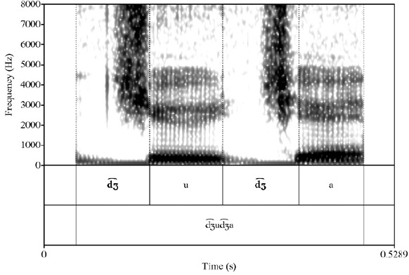 Espectrograma de la palabra [d͡ʒud͡ʒa] ('mentira')