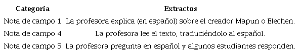 Extractos de notas de campo (estrategias de enseñanza)