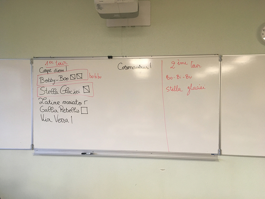 Picture of the classroom whiteboard used by the 'seconde' students to record the proposals and votes (1st and 2nd round)
