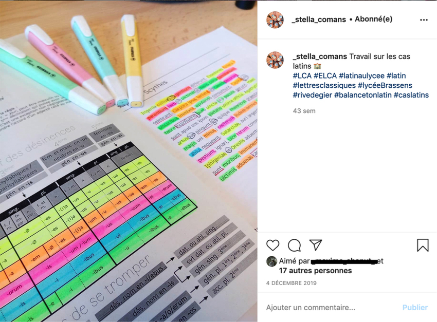Screenshot of a former Latinist group (2019 project), showing the use of colours and grammar handbook (left of image): "Work on Latin cases"