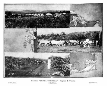 Fazenda Santa Thereza - Album de Araraquara de 1915.