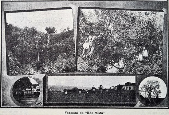 Fazenda Boa Vista - Almanach-Album de So Carlos - 1916-1917.