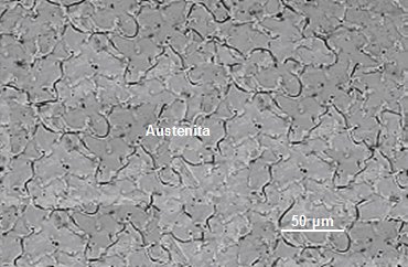 Estructura metalográfica de la aleación.