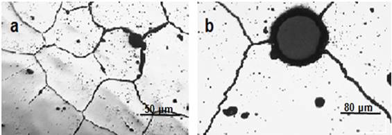 Comportamiento microestructural del cuerpo de
la voluta.