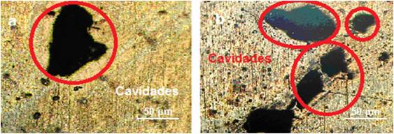 Cavidades en el interior de la voluta.