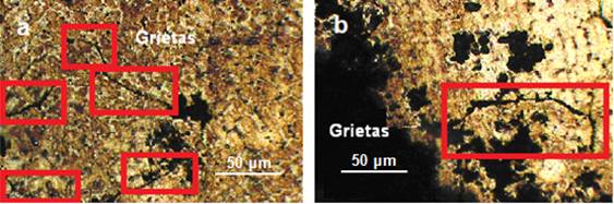 Grietas intercristalinas en el cuerpo de la
voluta.