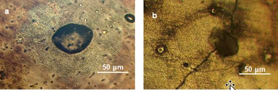 Desgaste por erosión.