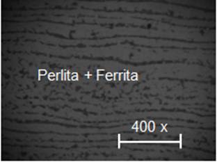 Estructura del acero al carbono.