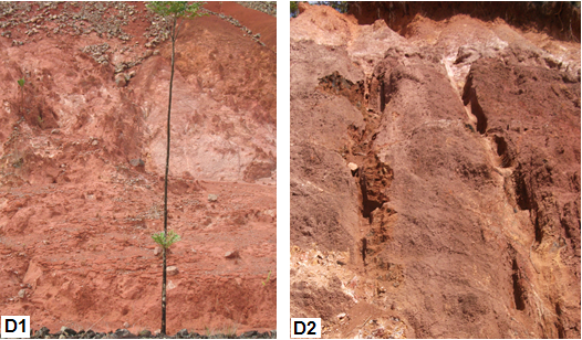 Fotografía del corte de los afloramientos evaluados.