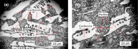 Microestructura de la aleaci&oacute;n ИЧX2H4.