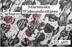 Microestructura de la aleaci&oacute;n con el empleo
de la variante III de temple.