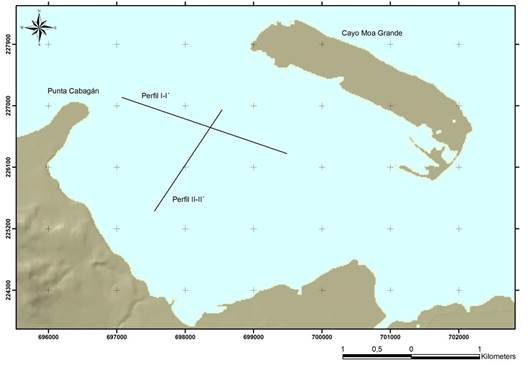 Ubicación de los perfiles
batimétricos utilizados para valorar los cambios geomorfológicos en el fondo de
la laguna.