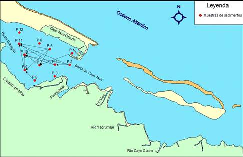 Dirección del movimiento en los
sedimentos superficiales en la laguna.